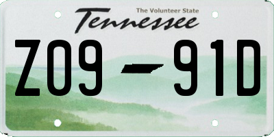 TN license plate Z0991D