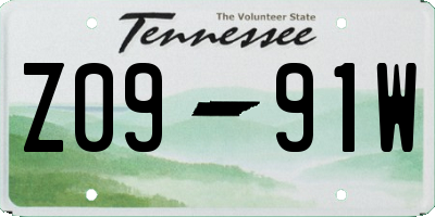 TN license plate Z0991W
