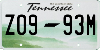 TN license plate Z0993M