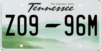TN license plate Z0996M