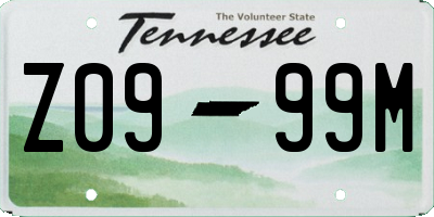 TN license plate Z0999M
