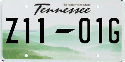 TN license plate Z1101G