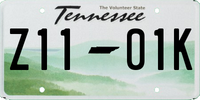 TN license plate Z1101K