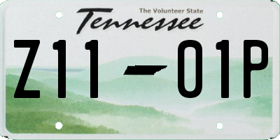 TN license plate Z1101P