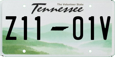 TN license plate Z1101V