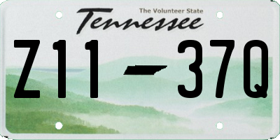 TN license plate Z1137Q