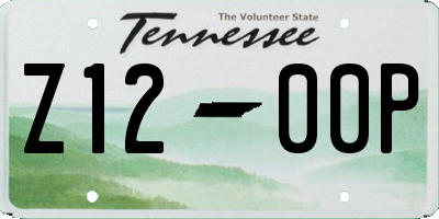 TN license plate Z1200P