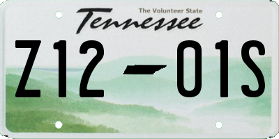 TN license plate Z1201S