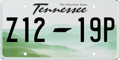 TN license plate Z1219P