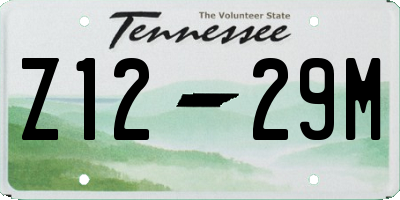 TN license plate Z1229M