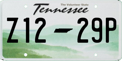 TN license plate Z1229P