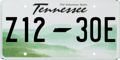 TN license plate Z1230E