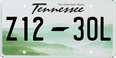 TN license plate Z1230L