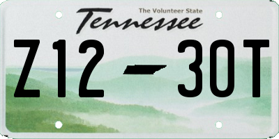 TN license plate Z1230T