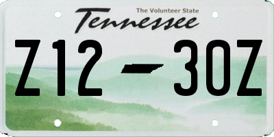 TN license plate Z1230Z