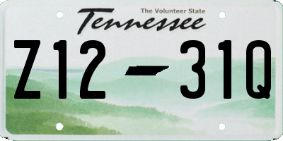 TN license plate Z1231Q