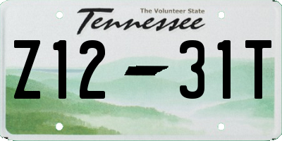 TN license plate Z1231T