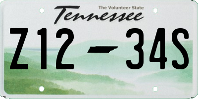 TN license plate Z1234S