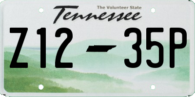 TN license plate Z1235P