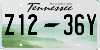 TN license plate Z1236Y