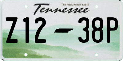 TN license plate Z1238P