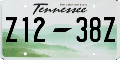 TN license plate Z1238Z