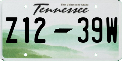 TN license plate Z1239W