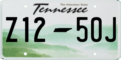 TN license plate Z1250J