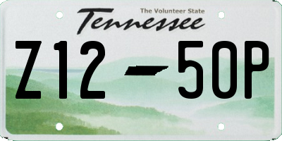 TN license plate Z1250P