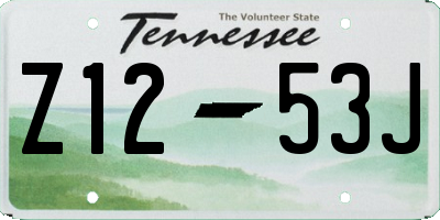 TN license plate Z1253J
