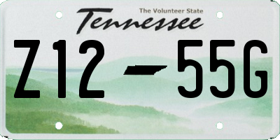 TN license plate Z1255G