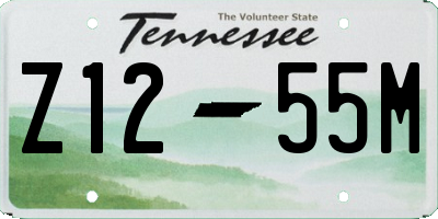TN license plate Z1255M