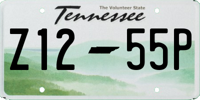 TN license plate Z1255P