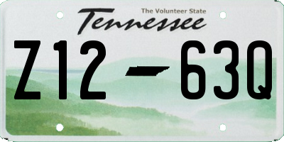 TN license plate Z1263Q