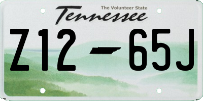 TN license plate Z1265J