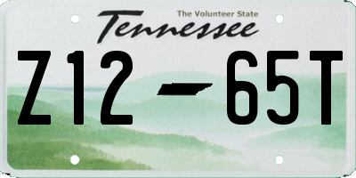 TN license plate Z1265T