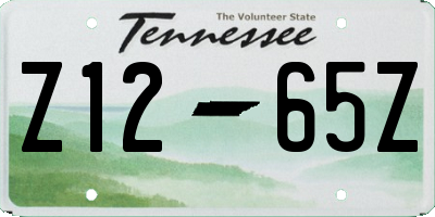 TN license plate Z1265Z