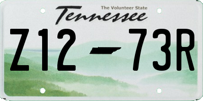 TN license plate Z1273R