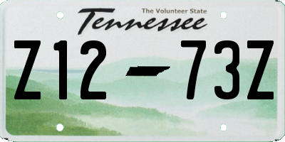 TN license plate Z1273Z