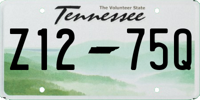 TN license plate Z1275Q