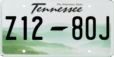 TN license plate Z1280J