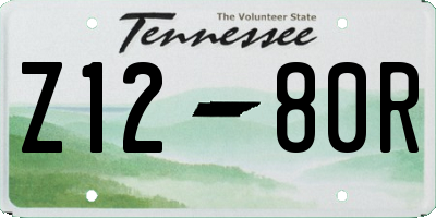 TN license plate Z1280R
