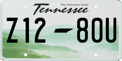 TN license plate Z1280U