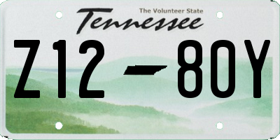 TN license plate Z1280Y
