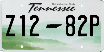 TN license plate Z1282P