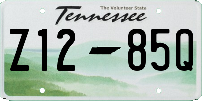 TN license plate Z1285Q