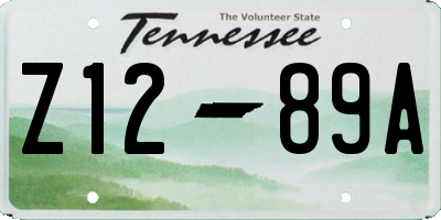 TN license plate Z1289A