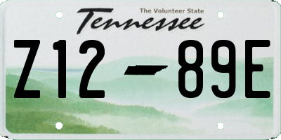TN license plate Z1289E