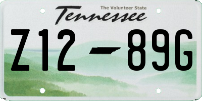 TN license plate Z1289G