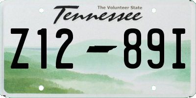 TN license plate Z1289I